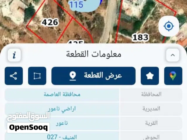 Residential Land for Sale in Amman Naour