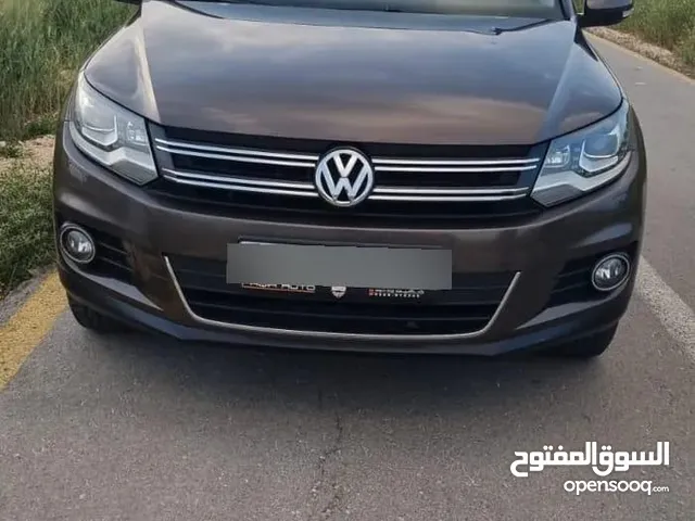 تيجوان 2013