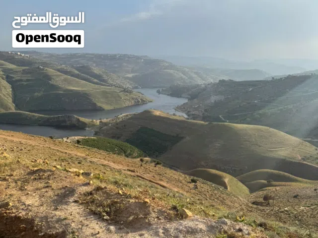 Mixed Use Land for Sale in Jerash Al-Majdal