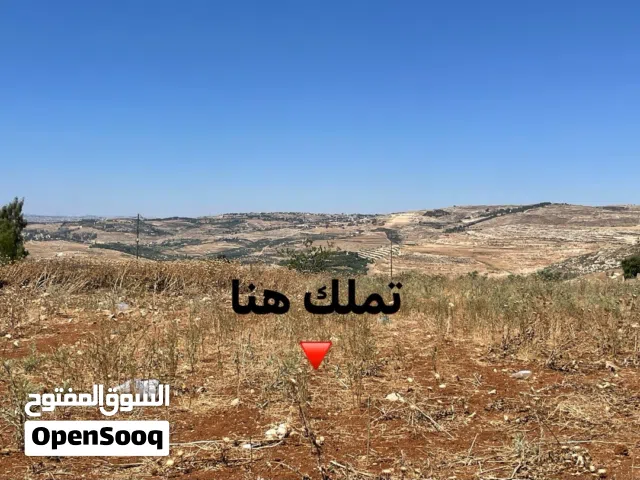 قطعة ارض في أجمل مناطق ناعور المشقر