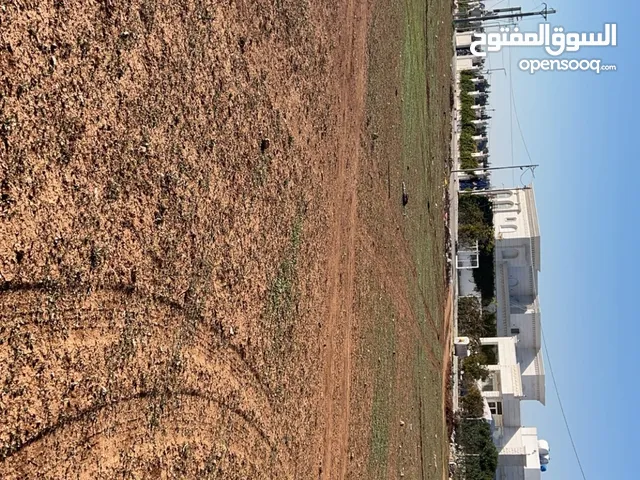 ارض للبيع في الرمثا حوض السبط