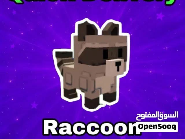 راكون مال المزرعه - توصيل سريع