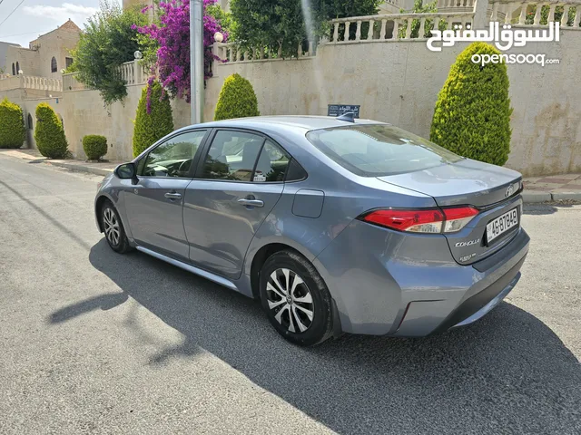 Used Toyota Corolla in Amman