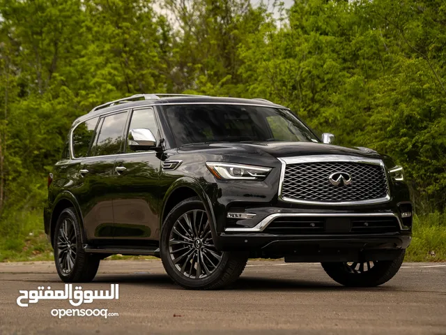 Used Infiniti QX80 in Amman