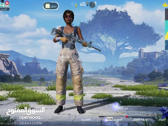 Pubg Accounts and Characters for Sale in Northern Governorate