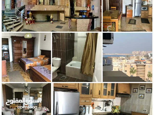 85 m2 1 Bedroom Apartments for Rent in Alexandria Maamoura