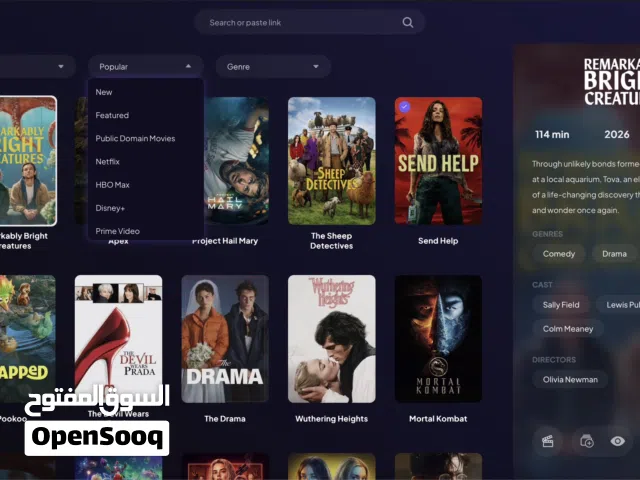 Watch anything! US Live cable channels Movies and Series from all streaming services no subscription