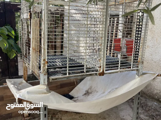 اقفاص ارانب للبيع بحالة ممتازة جدا