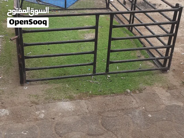 اصياخ بيكب بوغماره للبيع