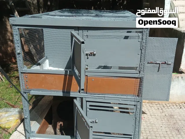 مطير. مشترك. انواع معا بنفس مكان سعه عدد انواع معا