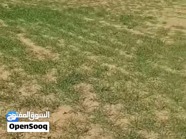 Farm Land for Sale in Mafraq Bala'ama