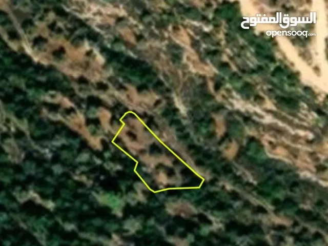 ارض طابو زتون تصنيف b