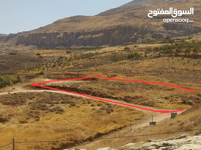 Residential Land for Sale in Nablus Al Nassariya