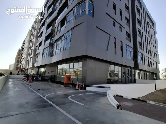 One bedroom, 450. 2 bedroom, 550 for renting.