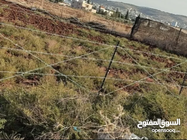 الظاهر لتسييج و تشيييك الاراضي الزراعية و التجارية