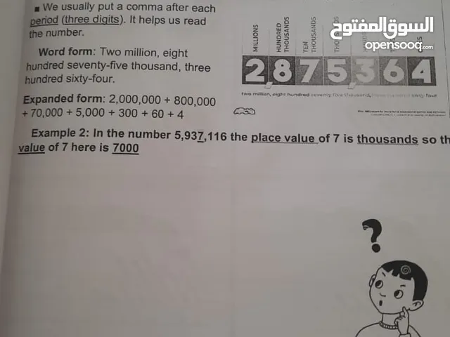Math Teacher in Amman