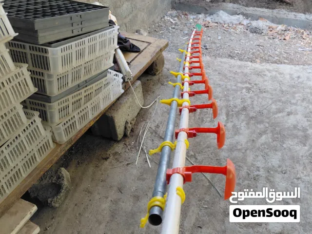 سلات تفقيس اكبر معالف الدواجن في السلطنة  مأكل  ومشارب