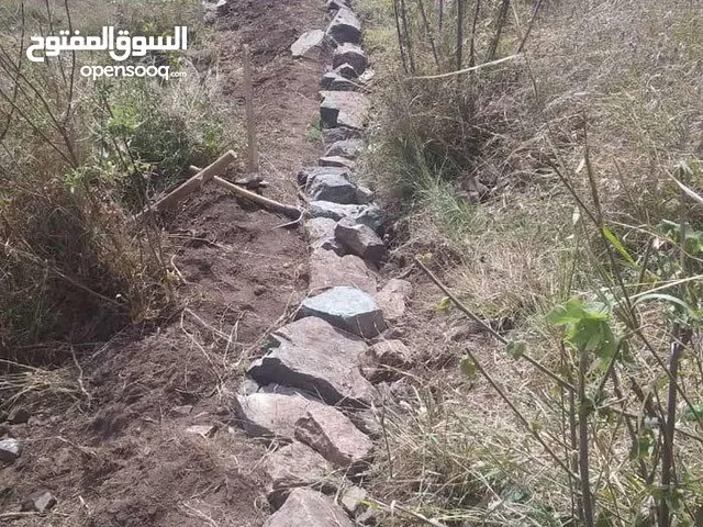 ارض حر 13. قصبه في سوق الميدان