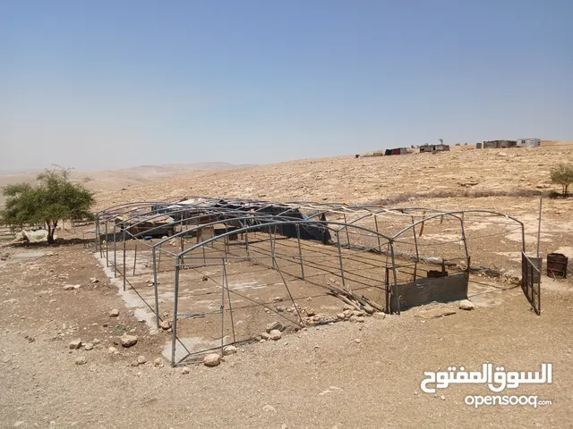 بيت بلاستيك للبيع