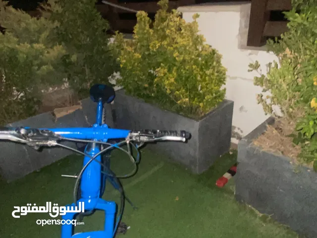 بسكليت جنط 26