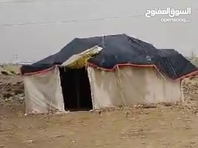 1_خيمة 8×5 2_خيمة6×4