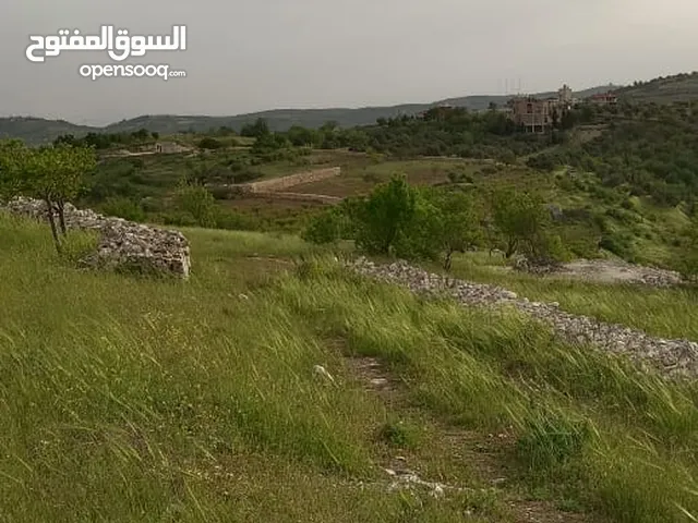 Mixed Use Land for Sale in Jerash Soof