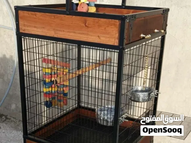 قفص ببغاء كاسكو كوكاتو درة امازون من المستودع مباشره ستاند مجثم خارجي للبغاء
