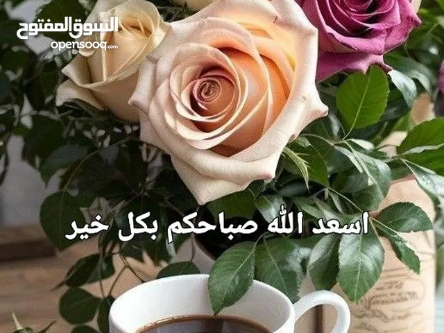 ظبظلظظرملمملنىهل