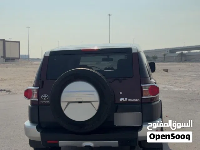 أف جي كروزر 2009