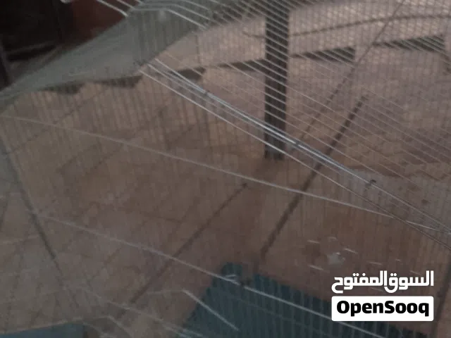 متوفر اقفاص جديدا  كبيرة بالعجل يمشو جميع ببغاوات