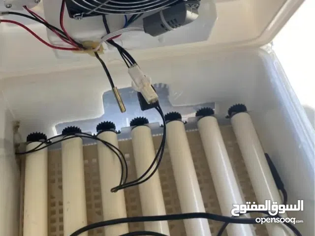 فقاسا ت البيض جميع انواع البيض دجاج سمان بيبي وز بط كنار