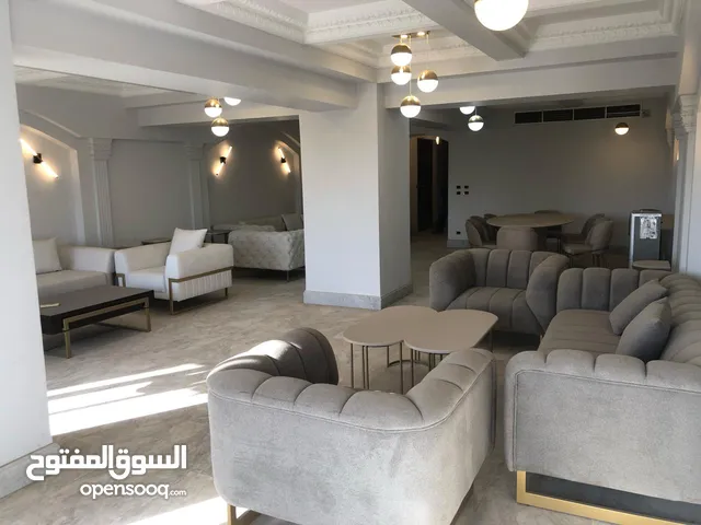 300 m2 More than 6 bedrooms Apartments for Rent in Cairo Zamalek