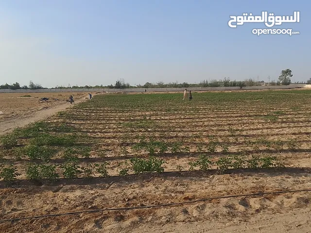 اشتري قطعه ارض 5 فدان علي طريق مصر اسكندريه في الكيلو 74 متكامل المرافق والخدمات العامة