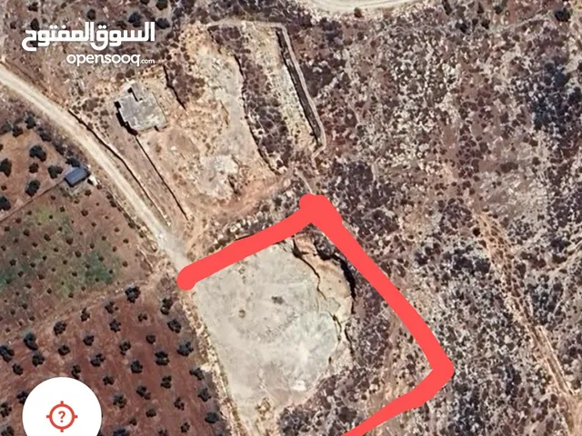 ارض للبيع في نابلس بين دجن