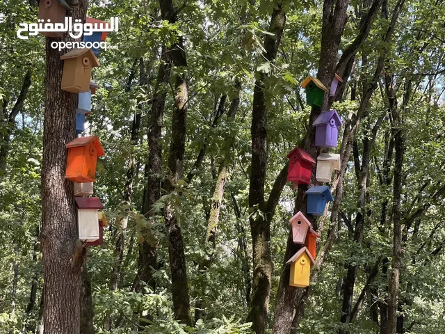 خدمة حصد عشب المنازل والاسترحات والحدايق