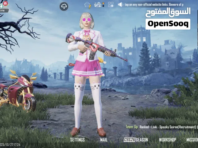 Pubg Accounts and Characters for Sale in Sabha