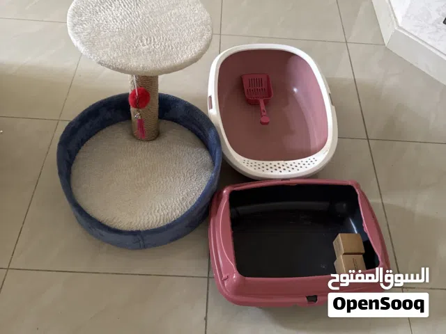 مجموعة مستلزمات قطط كاملة (نظيفة جداً) بسعر مناسب جدا