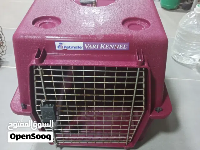 موجود بيتين بلاستيك قوي ومتين