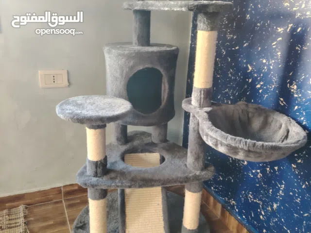 شجرة قطط اصلية امريكية + نافورة ماء