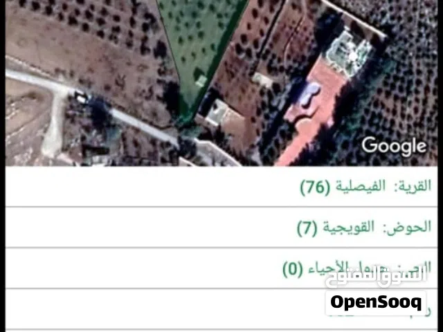 Farm Land for Sale in Madaba Al-Faisaliyyah