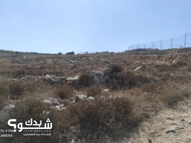 Mixed Use Land for Sale in Nablus Rujeib