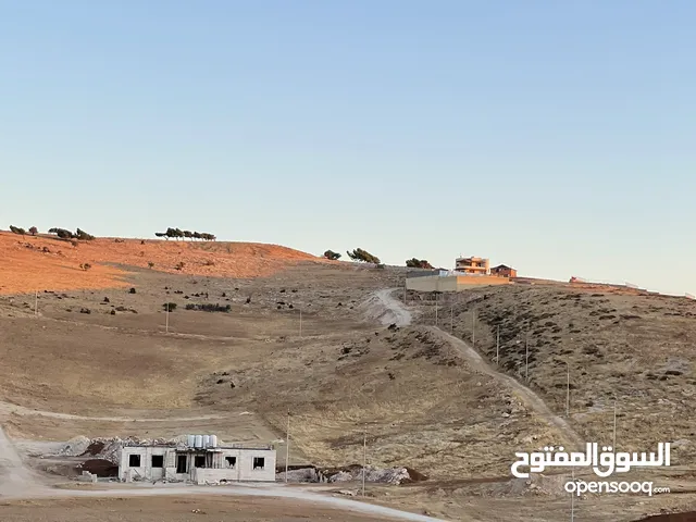 Farm Land for Sale in Zarqa Birayn