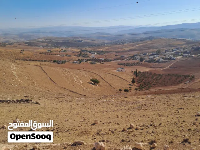 Farm Land for Sale in Mafraq Bala'ama