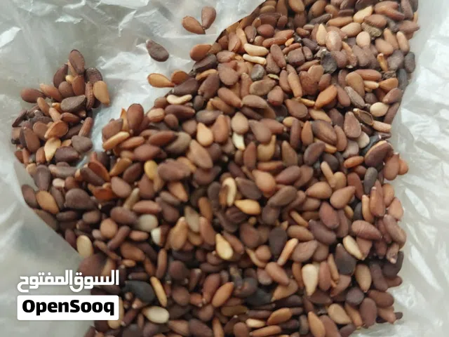 سمسم و حلبا عمانيه