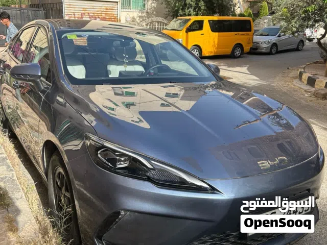 2025 بي واي دي سيل
