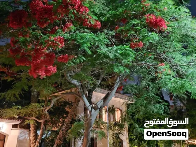 ابحث عن سكن مشترك
