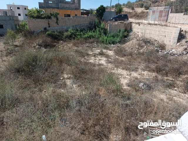 Residential Land for Sale in Nablus Sebastia