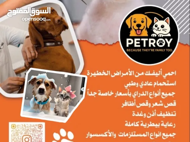 PETROY NOW OPEN