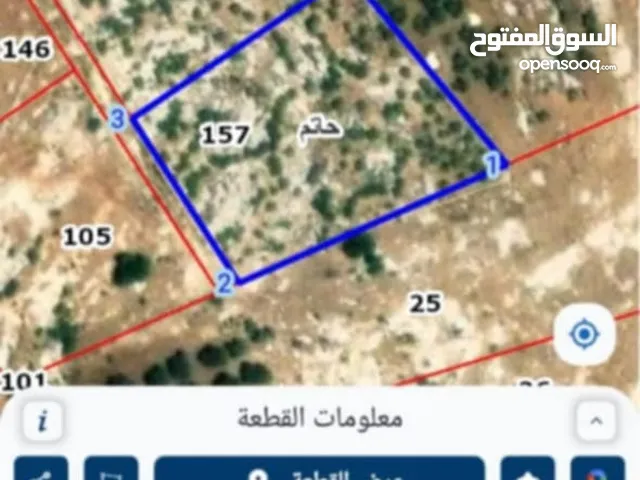 انس مالك الارض
