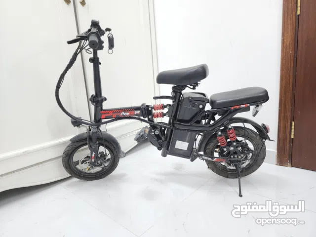electric bike